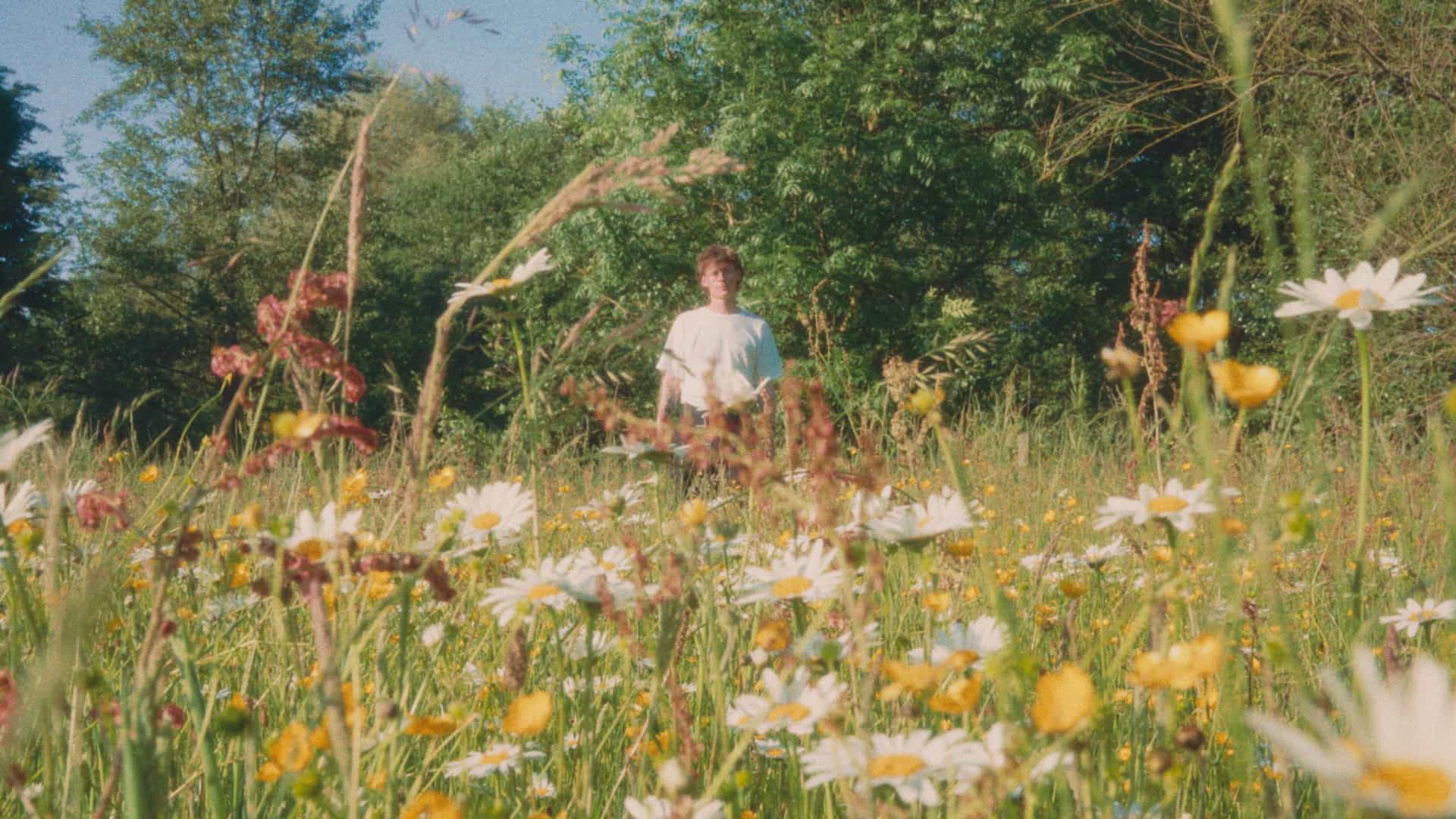 Music section background